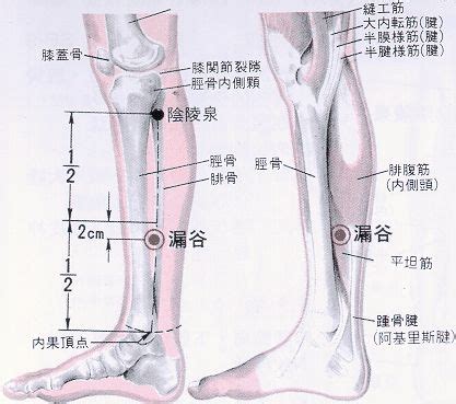 消積穴|醫砭 » 經穴庫 » 懸樞